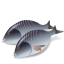  Рыбы с/х