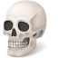 Ортопед