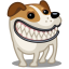 Собаки 