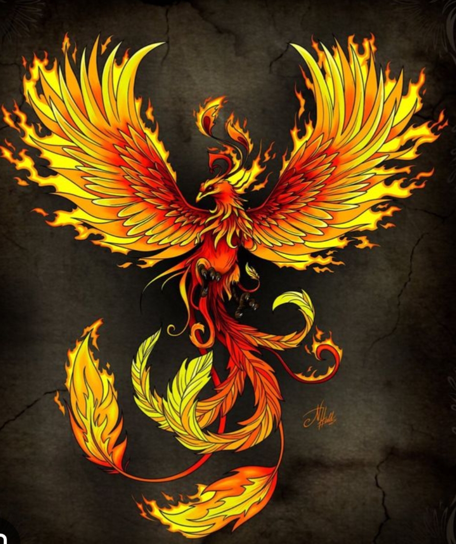 Ирина Налётова