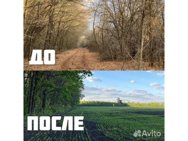  Мульчер гусеничный от 1 гектара - 5/9