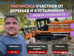 Расчистка заросших полей от деревьев от 1 Га / 1