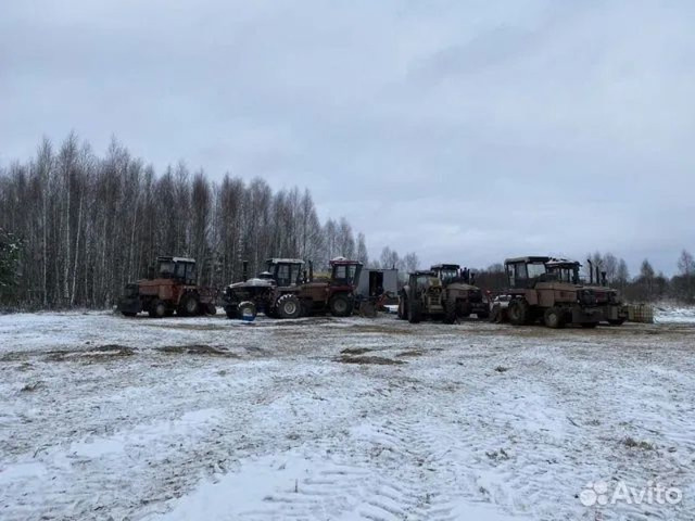 Расчистка заросших полей от деревьев от 1 Га - 6/10