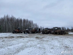 Расчистка заросших полей от деревьев от 1 Га / 6