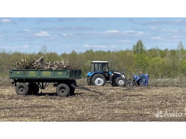 Расчистка заросших полей от деревьев от 1 Га - 8/10