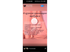 Удаленный оператор чата  - Изображение 4/4