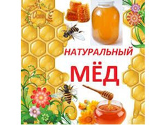 Мёд Алтайский - Изображение 1/4