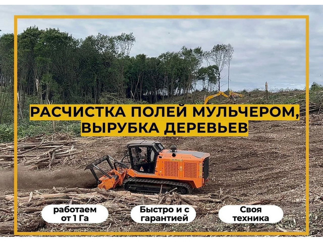  Расчистка участка мульчером от 1 Га, спил деревьев - 1/10
