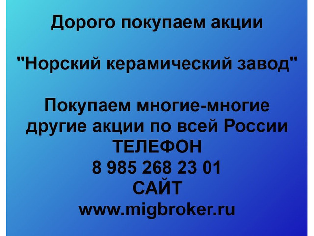 Покупка акций «Норский керамический завод» - 2/2