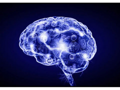 NewPsyHelp – профессиональная психологическая помощь онлайн - Изображение 2/2