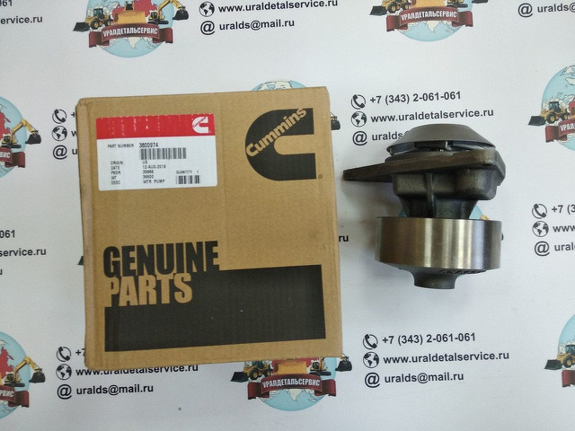Водяной насос Cummins 3800974 (3802973, 3929612, 3 - 1/3