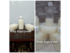 Барсучий жир от охотника / 7