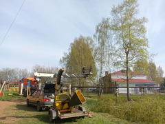 Удаление деревьев в Глазове   / 3