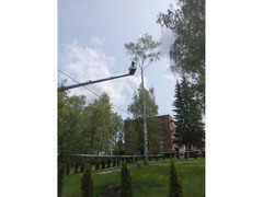 Удаление деревьев в Глазове   / 10