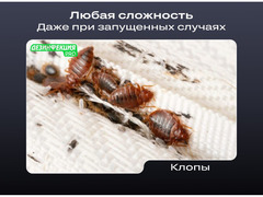 Уничтожение тараканов клопов плесени Дезинфекция / 3