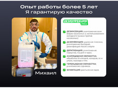 Уничтожение тараканов клопов плесени Дезинфекция / 4