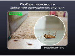 Уничтожение тараканов клопов плесени Дезинфекция / 5