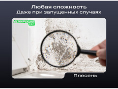 Уничтожение тараканов клопов плесени Дезинфекция / 6