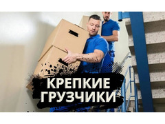 Грузчики/переезд/Демонтажные работы  / 2