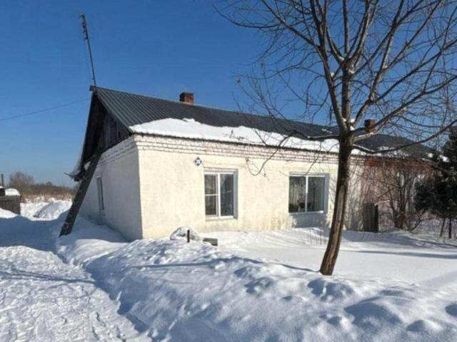 продаю дом в деревне - 1/11