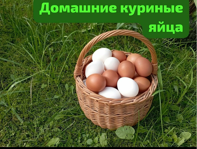 Домашние куриные яйца - 1/4