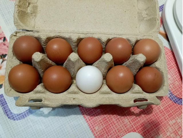 Домашние куриные яйца - 4/4