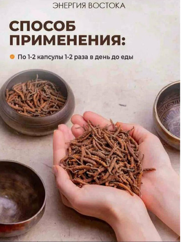 Кордицепс в капсулах китайские 100 шт - 3/6