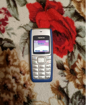 Nokia 2300