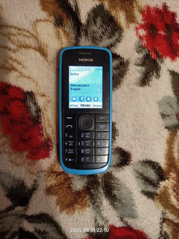 Nokia 113