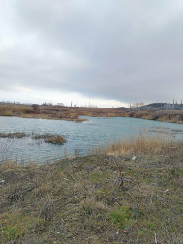 Продажа готового бизнеса, плонтация черешни и винограда - 2/12