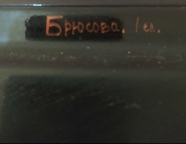 Поднос Жостово автор Брюсова ручная роспись - 5/6