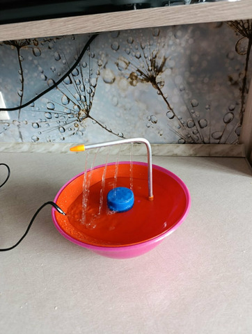 Купалка для попугаев. - 2/4