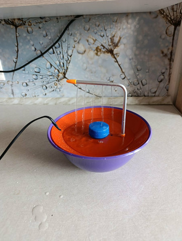 Купалка для попугаев. - 4/4