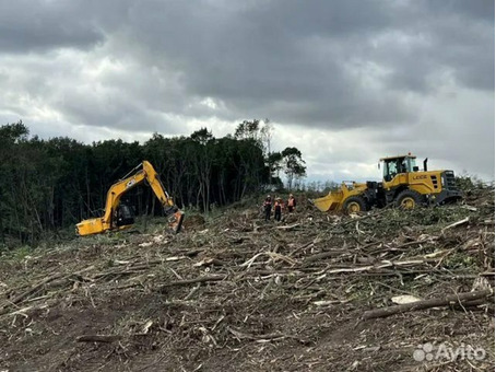 Расчистка территорий от деревьев и пней от 1 Га / 7