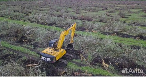 Расчистка территорий от деревьев и пней от 1 Га / 10