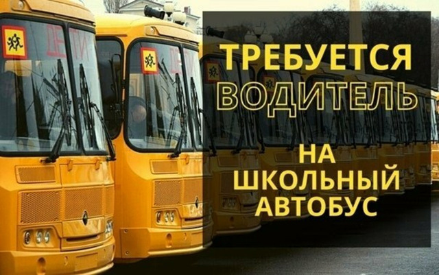 Водитель школьного автобуса