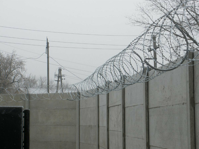 Колючая проволока СББ егоза - 3/9