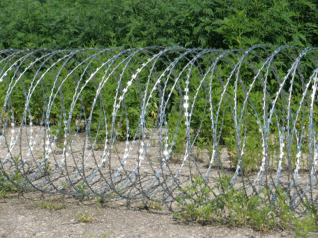 Колючая проволока СББ егоза - 5/9