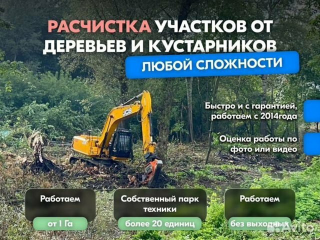 Расчистка территорий от деревьев и пней от 1 Га - 1/10