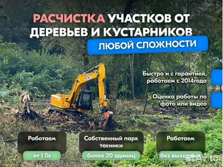 Расчистка территорий от деревьев и пней от 1 Га
