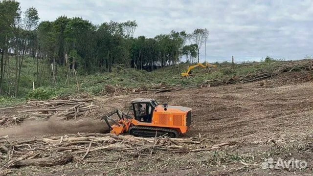 Расчистка территорий от деревьев и пней от 1 Га - 4/10