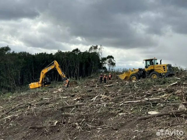Расчистка территорий от деревьев и пней от 1 Га - 7/10