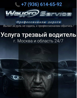 Перегон/Трезвый Водитель/час/день