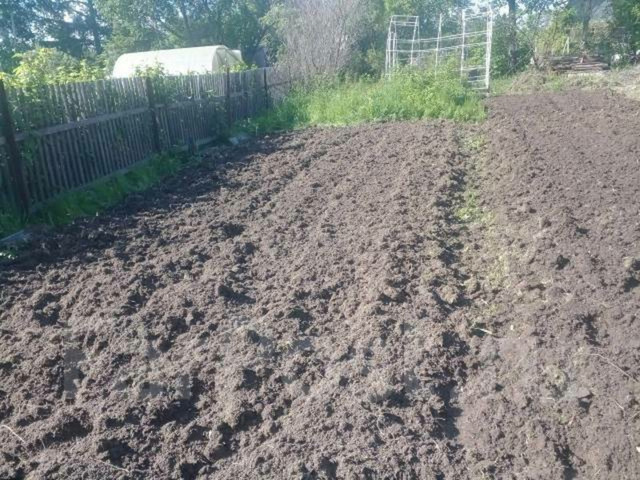 вспашка земли мотоблоком Краснодар - 1/4