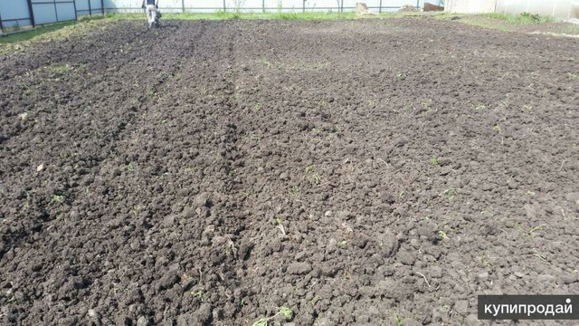 вспашка земли мотоблоком Краснодар - 4/4