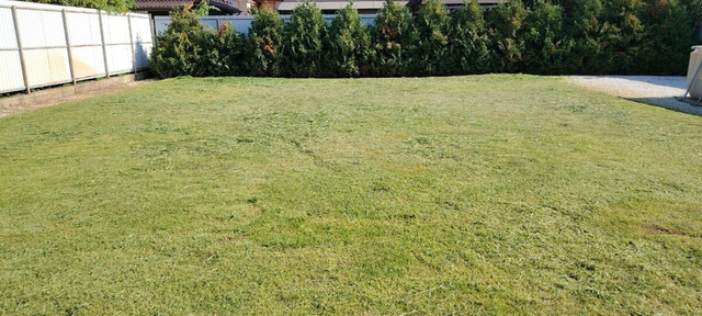 Покос травы Краснодар - 3/7