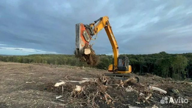 Расчистка территорий от деревьев и пней от 1 Га - 3/10