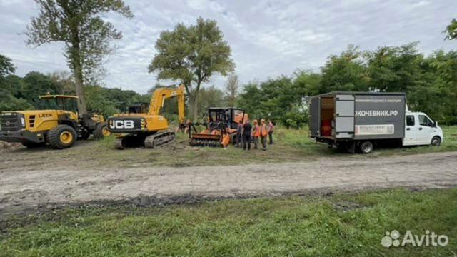 Расчистка территорий от деревьев и пней от 1 Га - 9/10