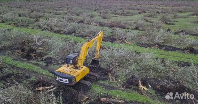 Расчистка территорий от деревьев и пней от 1 Га - 10/10