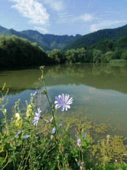 Менеджер по продажам